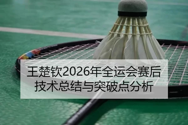 王楚钦2026年全运会赛后技术总结与突破点分析